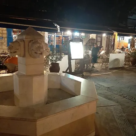 فيلة Lemon Grove